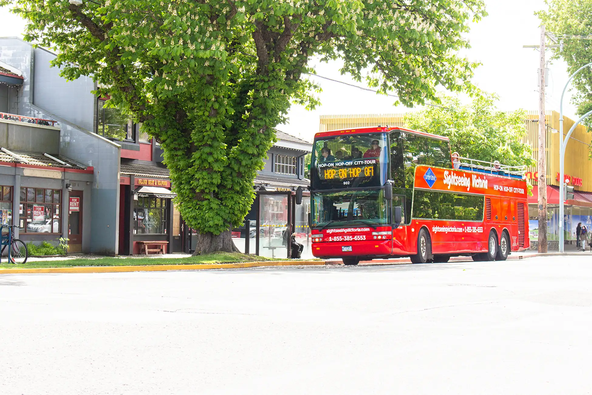 Victoria: Hop-On-Hop-Off Sightseeing Bus Tour