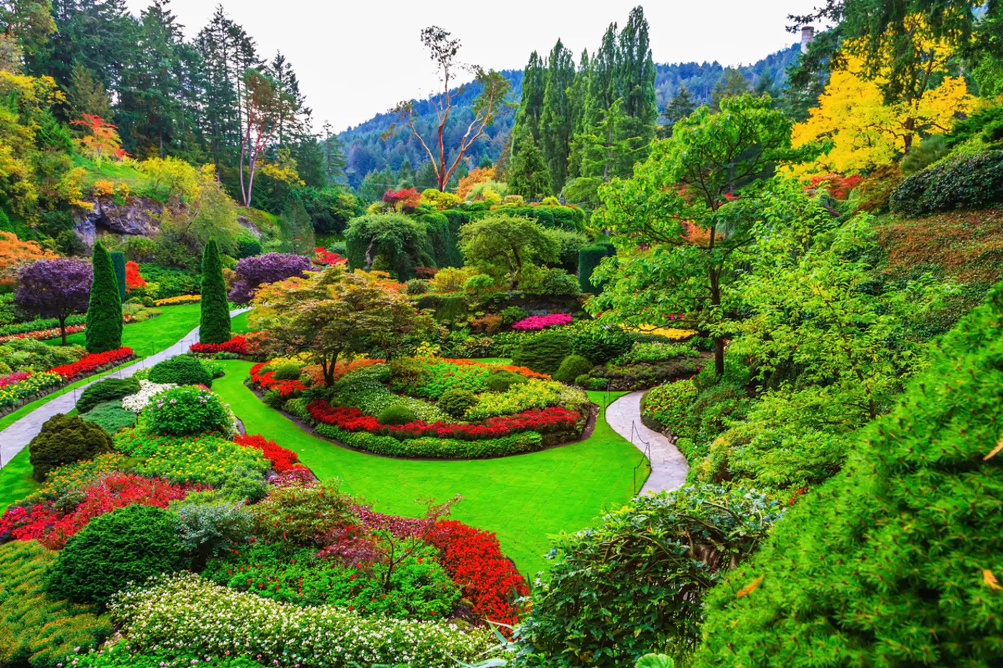 Victoria: Driving Tour w/ Malahat Skywalk & Butchart Gardens