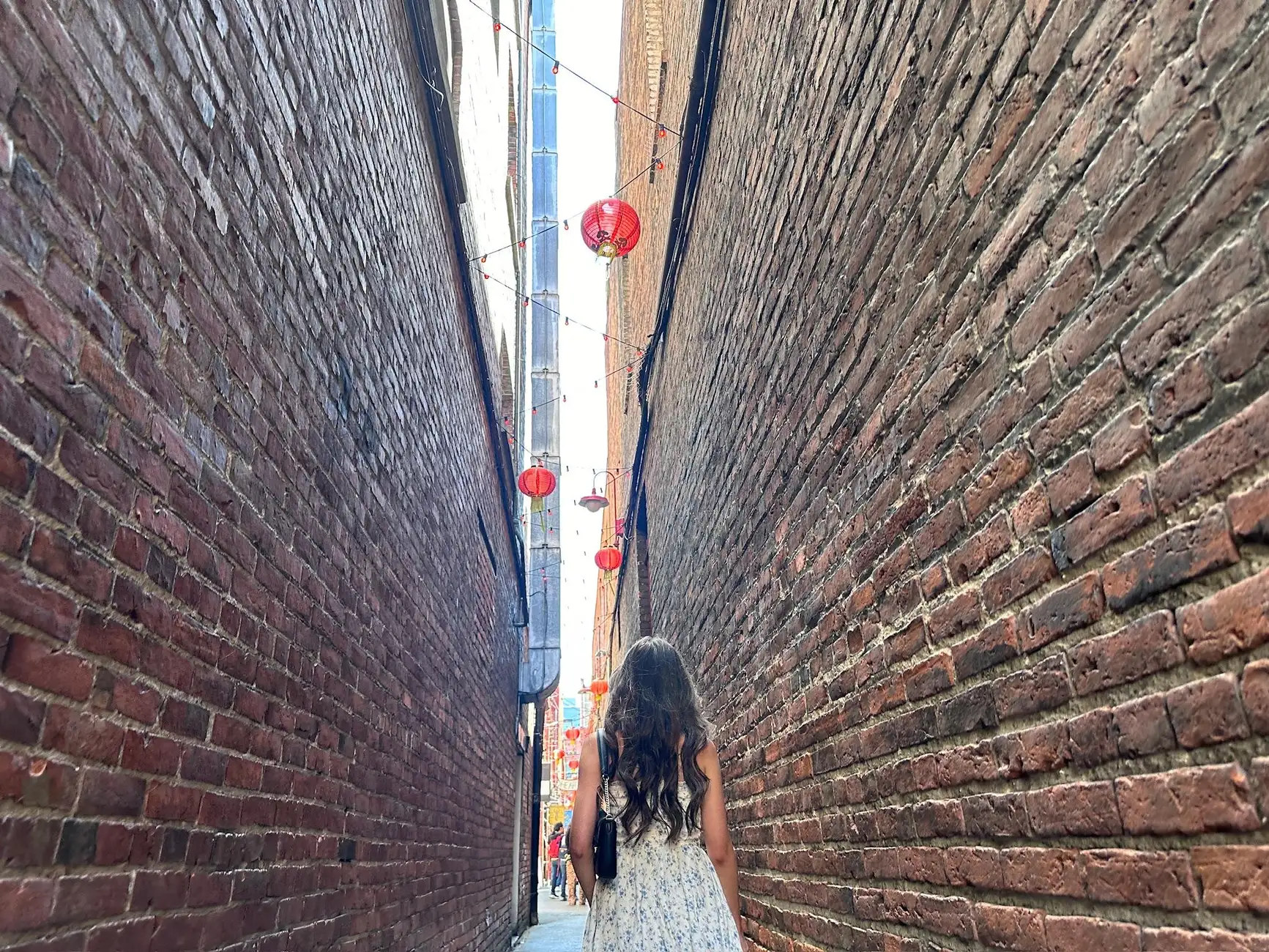 Victoria's City Highlights - Half Day Private Tour Excursion